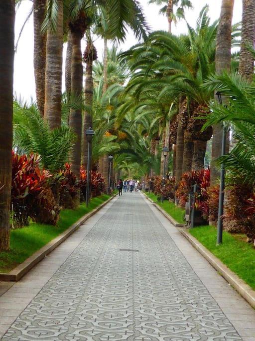 First Line Beach Apartment Puerto de la Cruz  Exterior foto